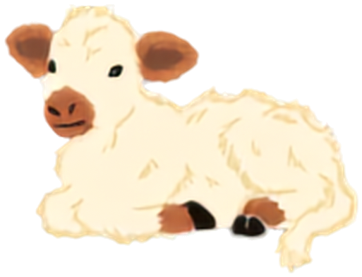 A fluffy cream calf resting in the grass