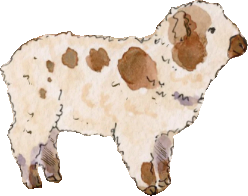 Lavender, the spotted lamb