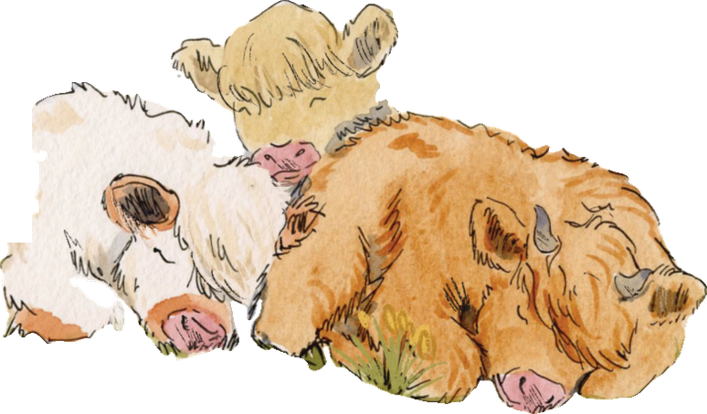 Charlsie napping with her cow friends under a tree