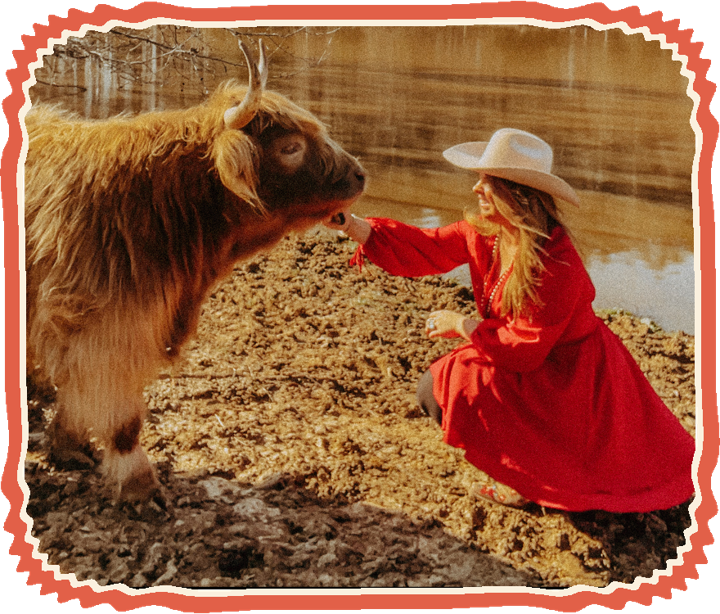 The author in a red dress and cowboy hat feeding a Highland cow by the pond