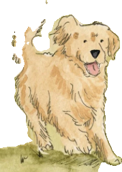 Willow the golden retriever, painted in watercolor